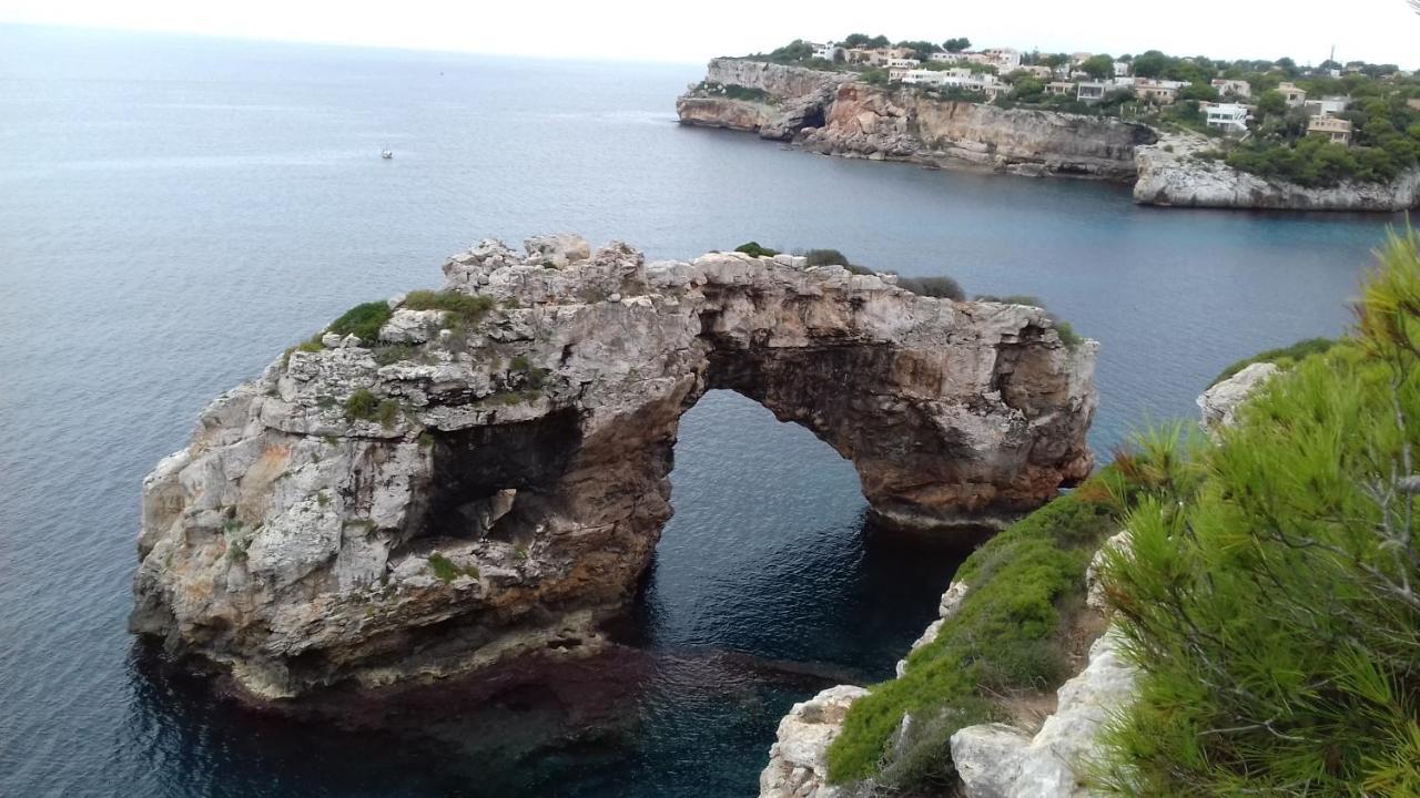 Flor * Cala Figuera (Mallorca)