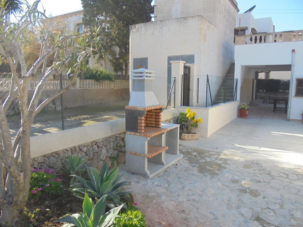 Flor Cala Figuera (Mallorca)