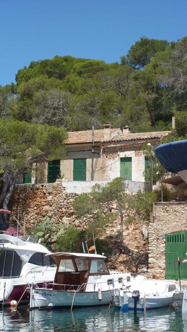 Flor Cala Figuera (Mallorca)